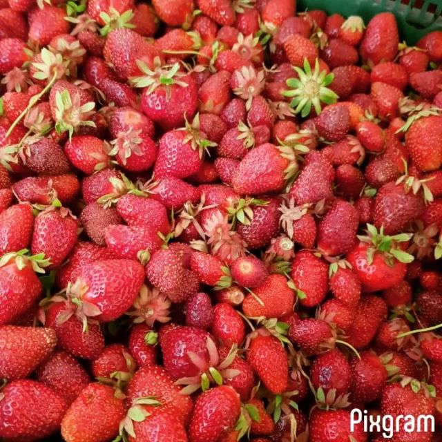 De la cueillette à l'assiette : la saison des fraises bat son plein et on en profite pour préparer les confitures de cet été